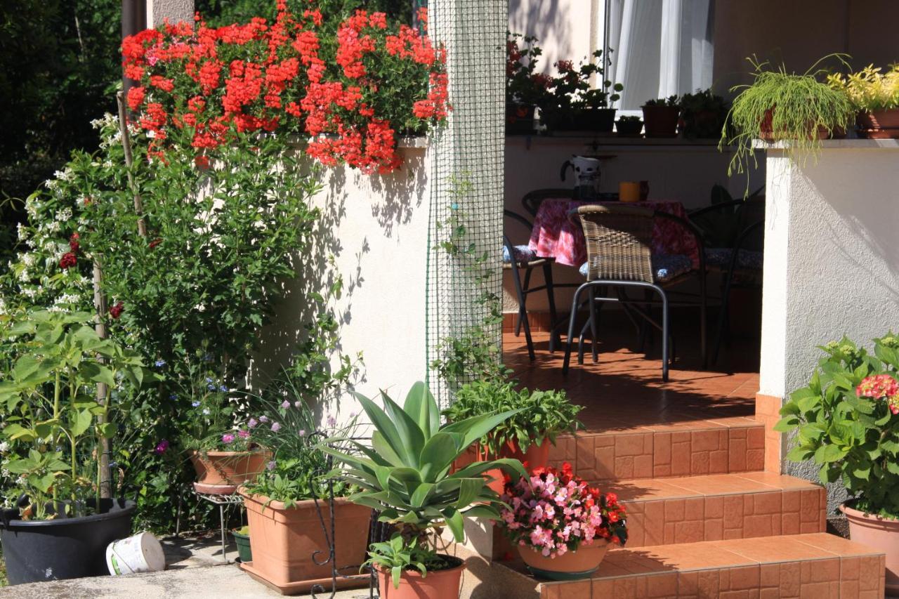 Apartman Rino Bašanija Extérieur photo